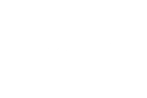 8 Dodge logo